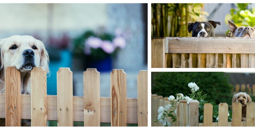 small backyard fence ideas